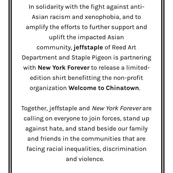 Staple X NY Forever Limited Edition - Picture 4 of 6